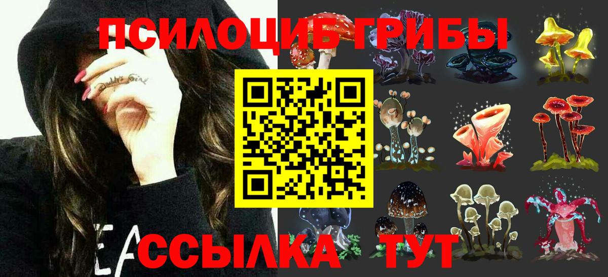 Шадринск  Псилоцибиновые грибы Cubensis  Вход с VPN  купить закладку  Галлюциногенные грибы прущие грибы 