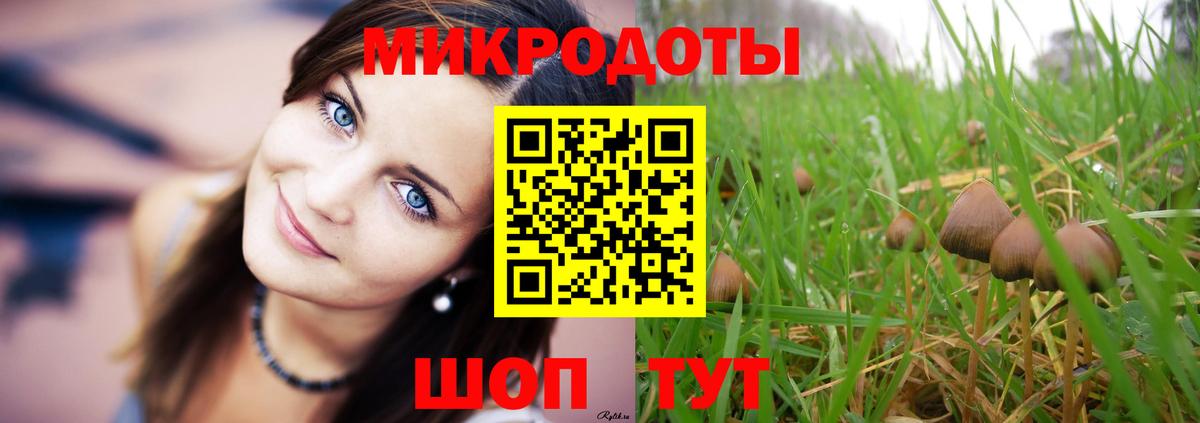 Псилоцибиновые грибы Cubensis Шадринск